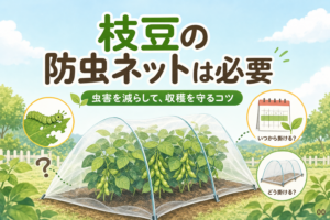 枝豆の防虫ネットは必要？虫害を減らす時期と掛け方