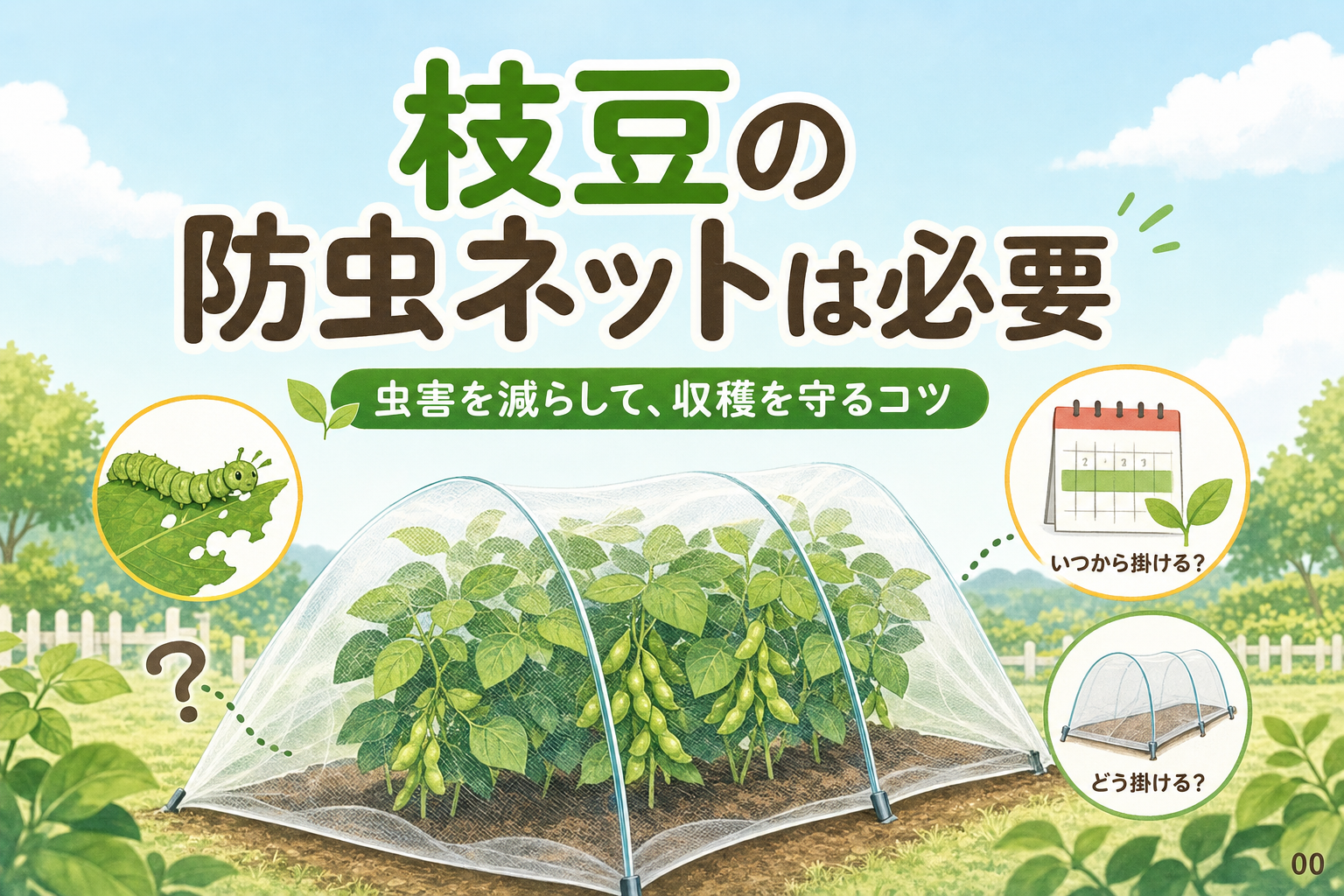 枝豆の防虫ネットは必要？虫害を減らす時期と掛け方