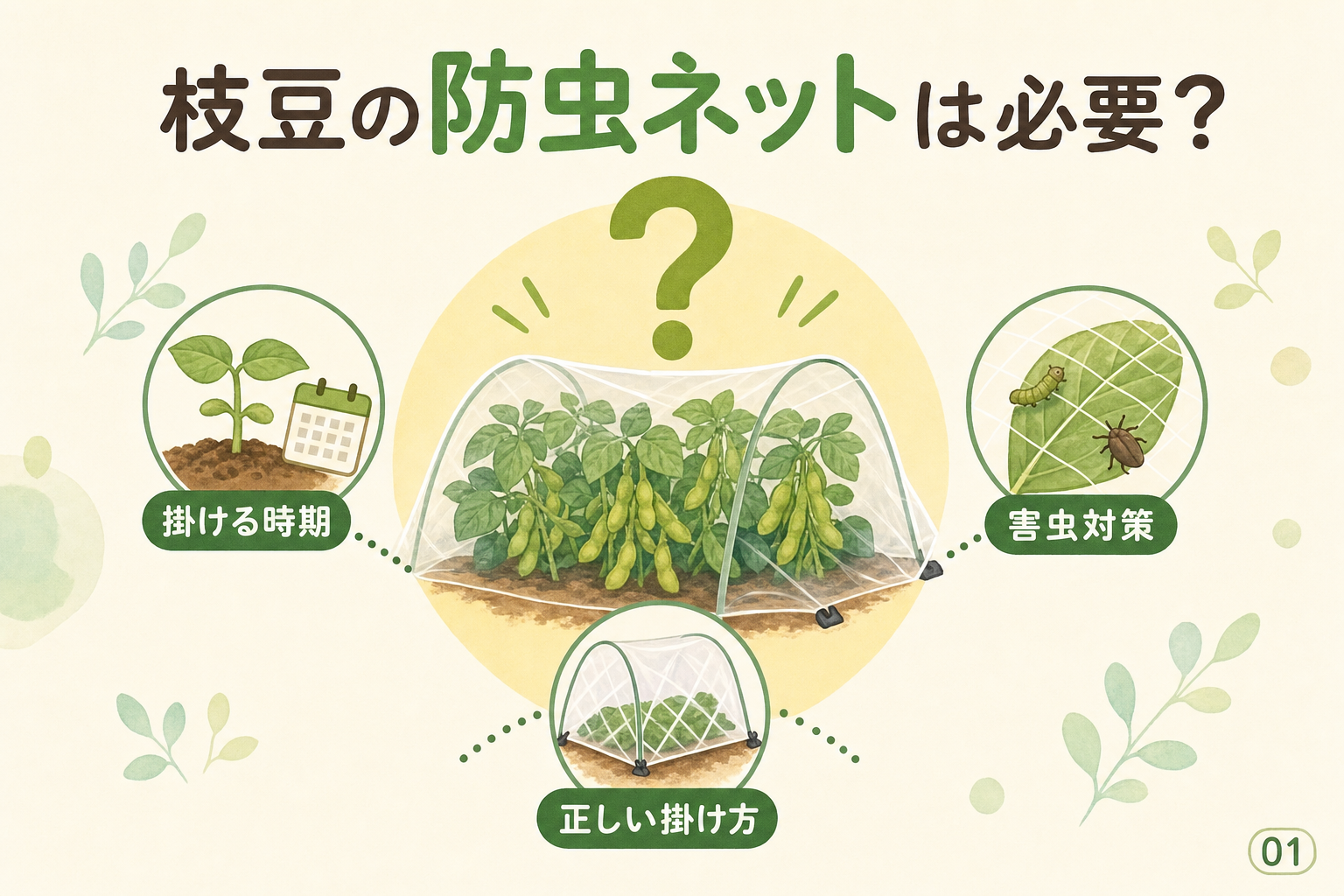 枝豆の防虫ネットは必要？
