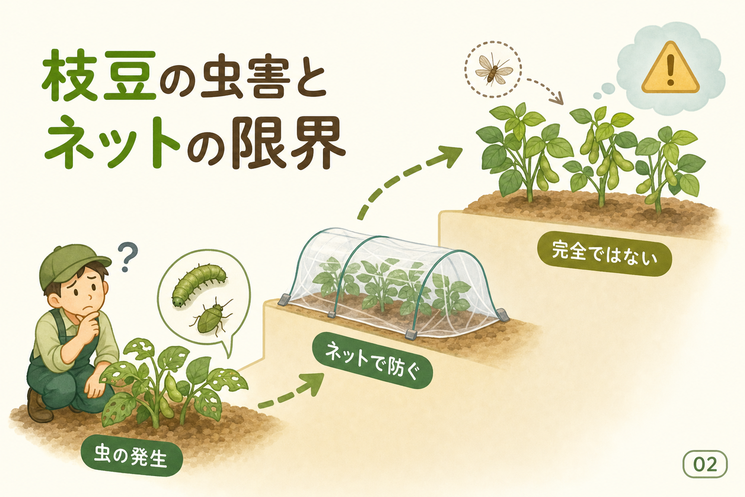 枝豆の虫害とネットの限界